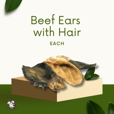 Beef Ears with hair