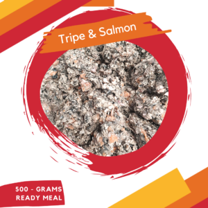 tripe and salmon