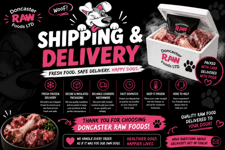 Everything You Need to Know About Our Shipping & Delivery Service