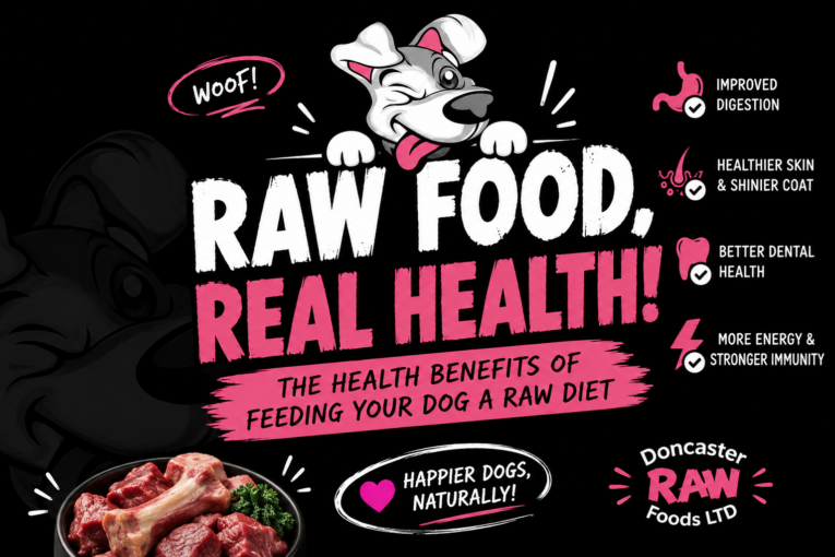 10 Health Benefits of Feeding Your Dog a Raw Die
