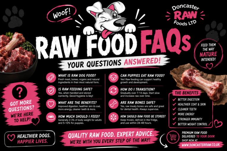 Raw Feeding FAQs: Everything You Need to Know