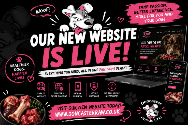 Welcome to Our Brand-New Website!