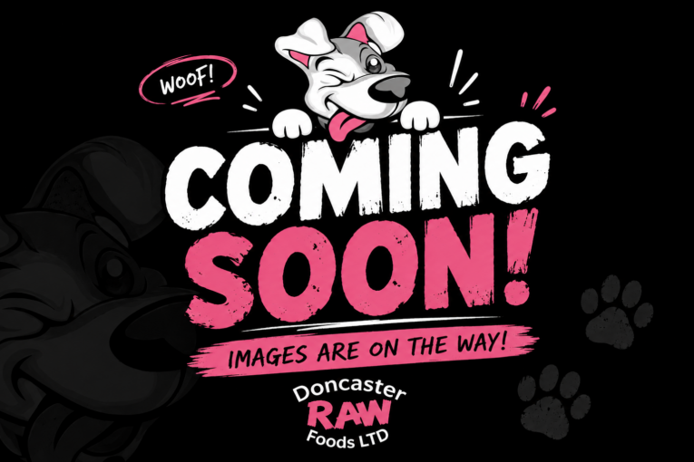 photo coming soon