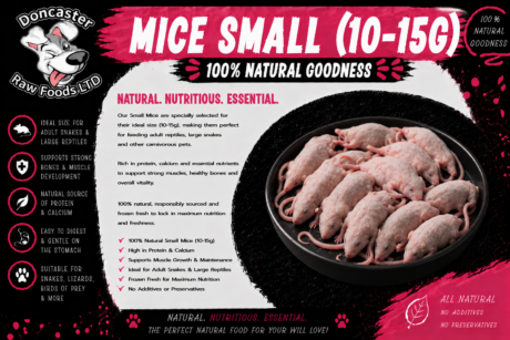Mice Small (10-15g)