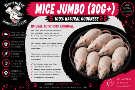 Jumbo Mice (30g+)