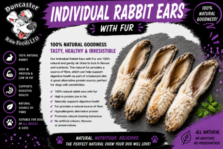 Individual Rabbit Ears with Fur