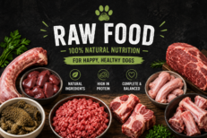Raw Food