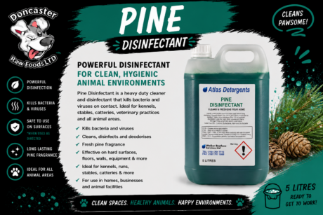 Pine Disinfectant