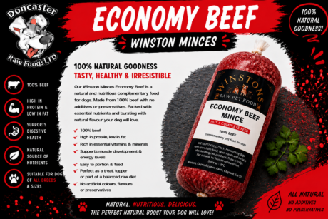 Winstons Raw Pet Food Economy Beef Mince