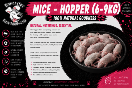 Hopper Mice (6-9g)