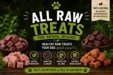Raw Treats