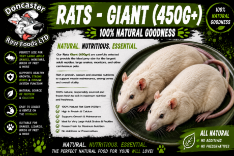 Giant Rats (450g+)