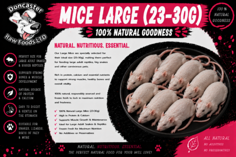 Large Mice (23–30g)