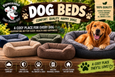 Beds